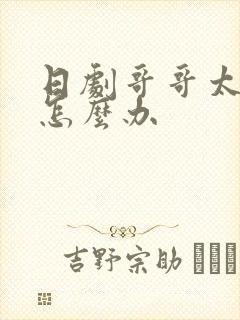 日剧哥哥太爱我怎么办