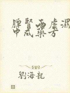 脾肾两虚湿气重中成药方封面