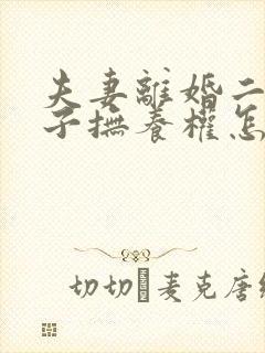 夫妻离婚二个孩子抚养权怎么判定封面