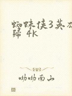 蜘蛛侠3英雄无归 4k