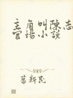 主角叫陈志远的官场小说