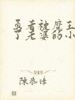 勇者被魔王变成了老婆的小说