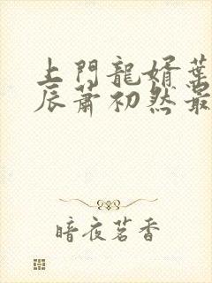 上门龙婿叶辰叶辰萧初然最新