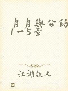 月月与公的激情1一5章