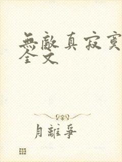 无敌真寂寞下载全文封面