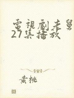 电视剧老舅在线27集播放