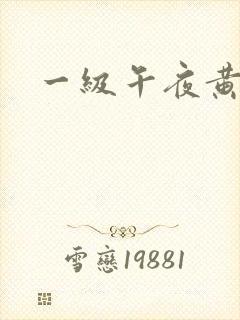 一级午夜黄色片