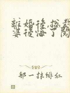 离婚后,总裁老婆后悔了阅读