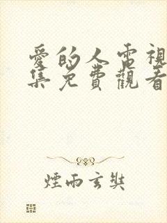 爱的人电视剧全集免费观看封面