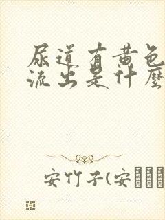 尿道有黄色粘液流出是什么原因封面