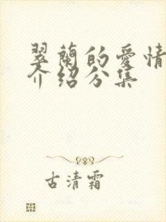 翠兰的爱情剧情介绍分集