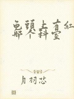 龟头上有红斑挂哪个科室