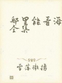 哪里能看海贼王全集封面