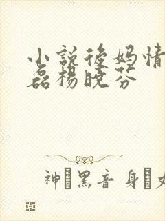 小说后妈情深王磊杨晓芬封面