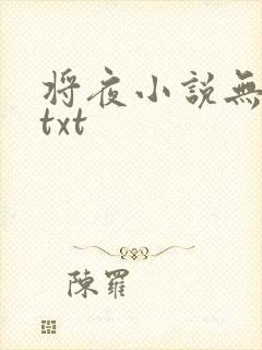 将夜小说无删减txt