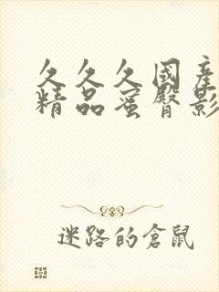 久久久国产午夜精品蜜臀影院