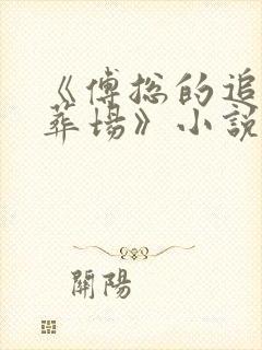 《傅总的追妻火葬场》小说封面