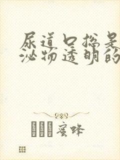 尿道口总是有分泌物透明的封面