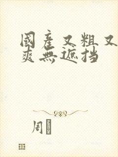 国产又粗又黄又爽无遮挡