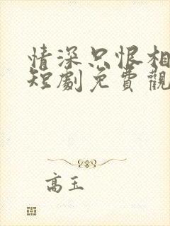 情深只恨相逢晚短剧免费观看