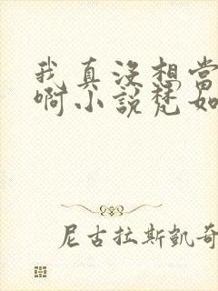 我真没想当皇帝啊小说梵如风封面