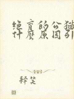 绝育的公猫尿血什么原因引起