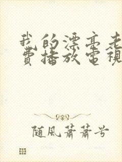 我的漂亮老板免费播放电视剧封面