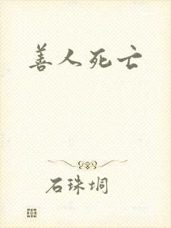 善人死亡封面