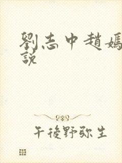 刘志中赵嫣的小说