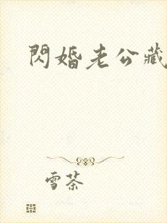 闪婚老公藏不住