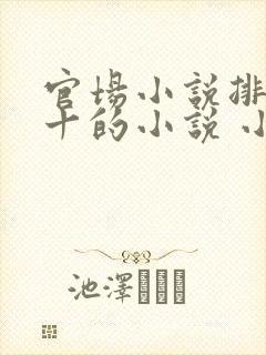 官场小说排名前十的小说 小说封面