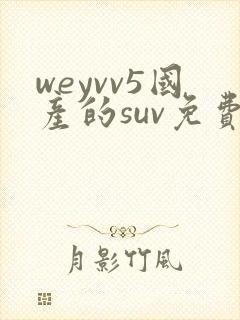 weyvv5国产的suv免费
