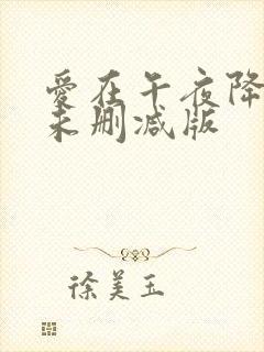 爱在午夜降临前未删减版