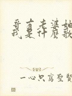 哥有老婆她很爱我是什么歌