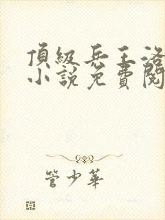 顶级兵王洛云霄小说免费阅读