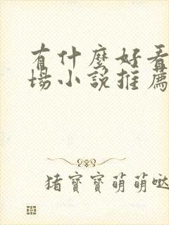 有什么好看的官场小说推荐一下