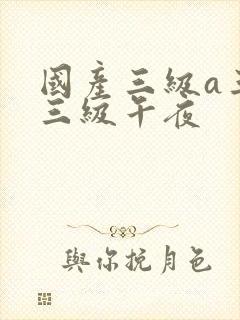 国产三级a三级三级午夜封面