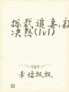 总裁追妻,毅然决然(1v1)