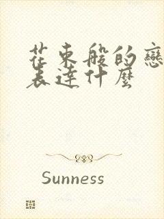 花束般的恋爱想表达什么