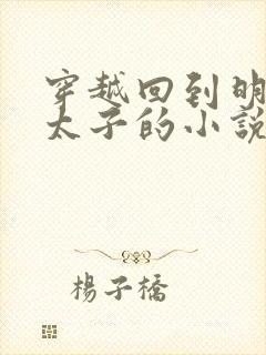 穿越回到明朝当太子的小说