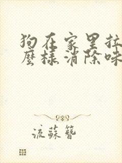 狗在家里拉尿怎么样消除味道