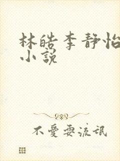 林皓李静怡官场小说