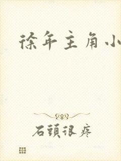徐年主角小说