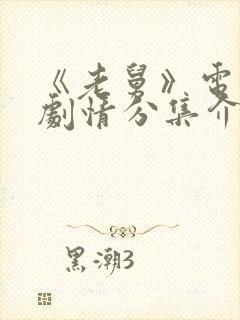 《老舅》电视剧剧情分集介绍封面