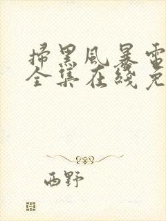 扫黑风暴电视剧全集在线免费观看