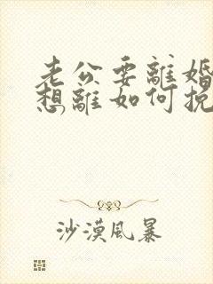 老公要离婚我不想离如何挽救