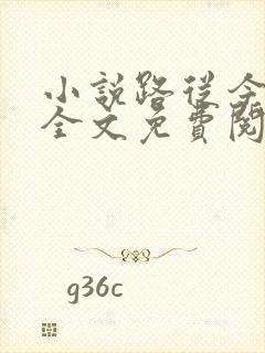 小说路从今夜白全文免费阅读