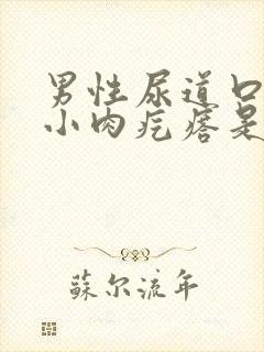 男性尿道口长个小肉疙瘩是怎么回事