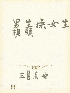 男生操女生的 视频