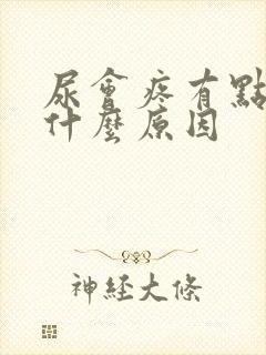 尿会疼有点带血什么原因